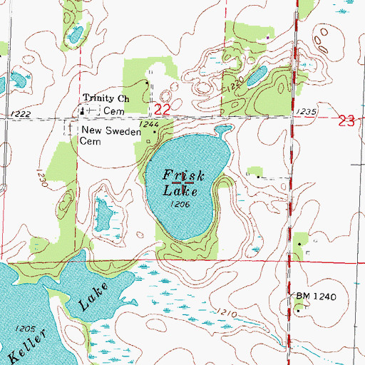 Topographic Map of Frisk Lake, MN