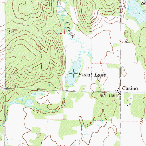 Topographic Map of Fucat Lake, MN