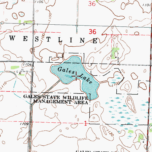 Topographic Map of Gales Lake, MN