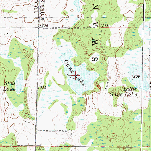 Topographic Map of Ganz Lake, MN