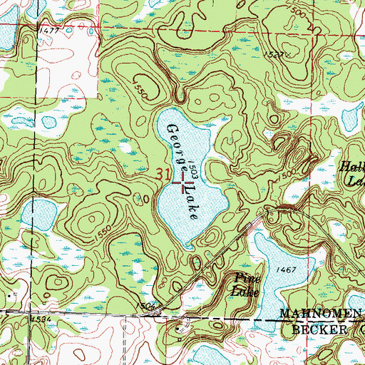 Topographic Map of George Lake, MN