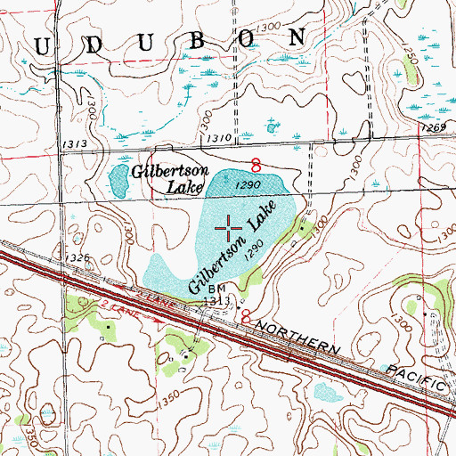 Topographic Map of Gilbertson Lake, MN