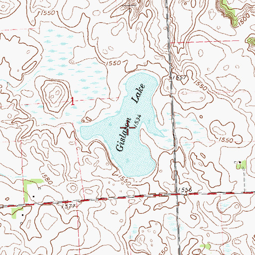 Topographic Map of Gislason Lake, MN