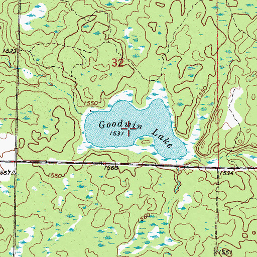 Topographic Map of Goodwin Lake, MN