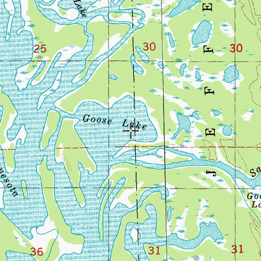 Topographic Map of Goose Lake, MN