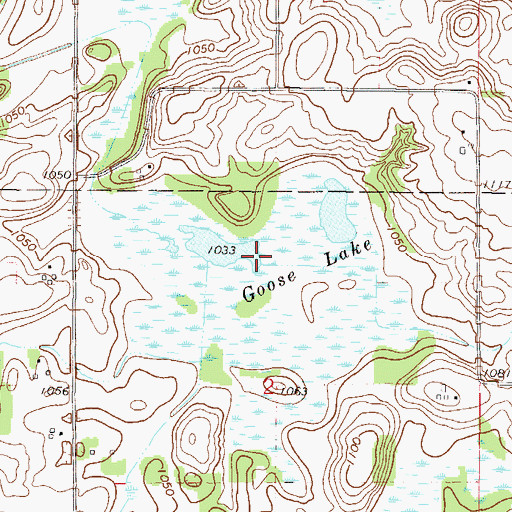 Topographic Map of Goose Lake, MN