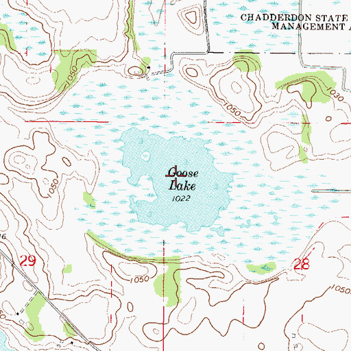 Topographic Map of Goose Lake, MN