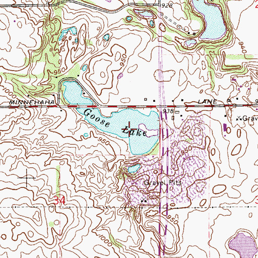 Topographic Map of Goose Lake, MN