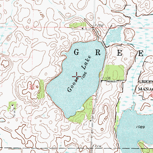 Topographic Map of Goose Lake, MN