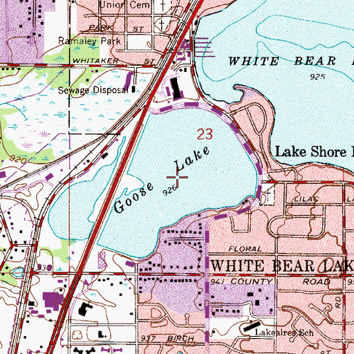 Topographic Map of Goose Lake, MN