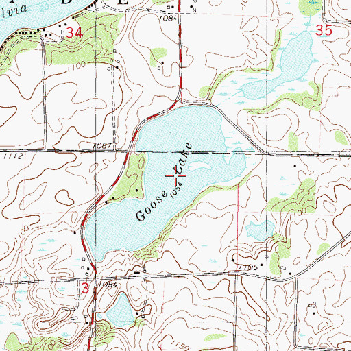 Topographic Map of Goose Lake, MN