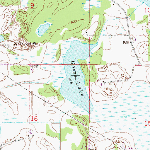 Topographic Map of Goose Lake, MN