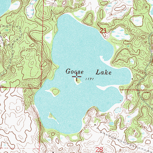 Topographic Map of Goose Lake, MN