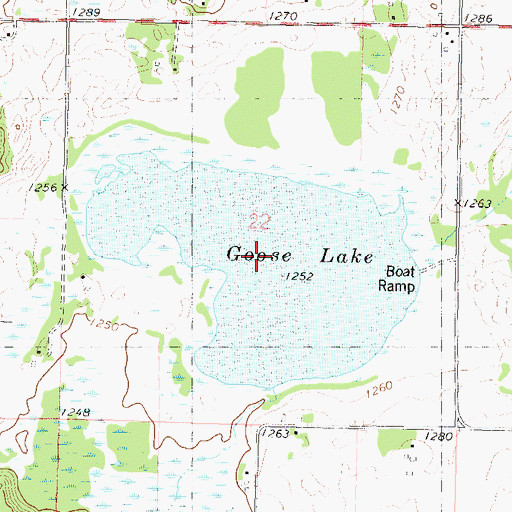 Topographic Map of Goose Lake, MN