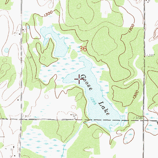 Topographic Map of Goose Lake, MN