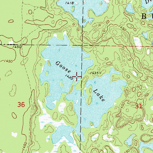 Topographic Map of Goose Lake, MN