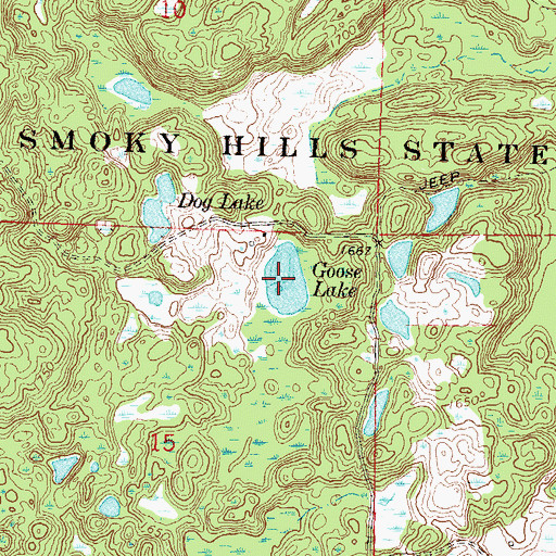Topographic Map of Goose Lake, MN