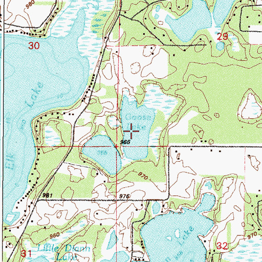 Topographic Map of Goose Lake, MN