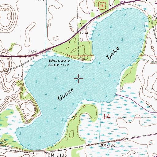 Topographic Map of Goose Lake, MN