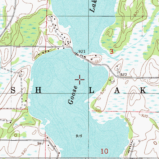 Topographic Map of Goose Lake, MN