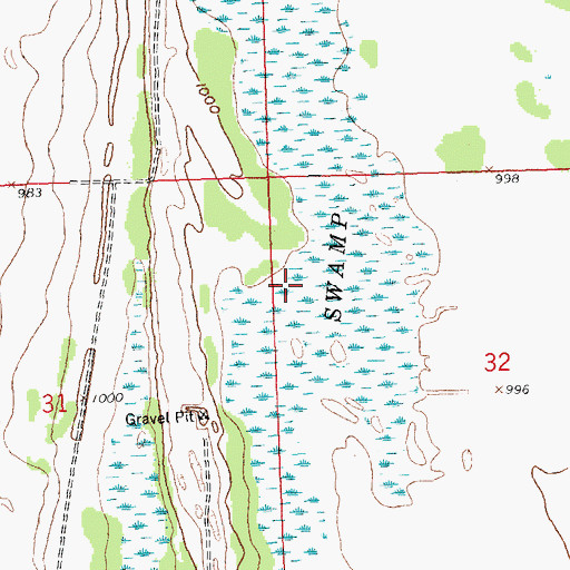 Topographic Map of Goose Lake Swamp, MN