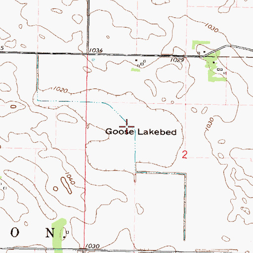 Topographic Map of Goose Lakebed, MN