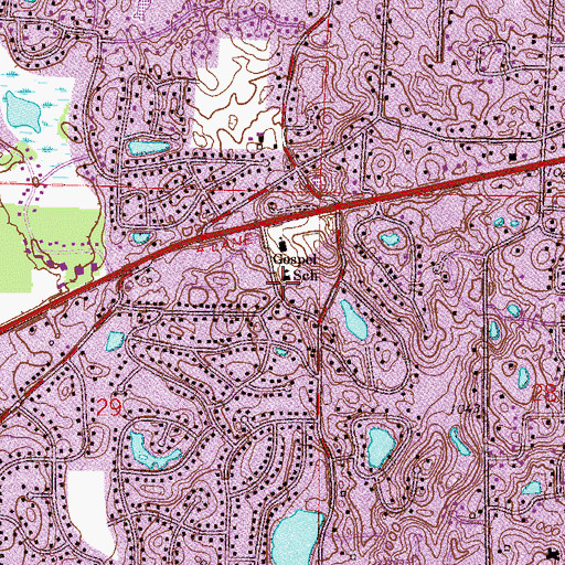 Topographic Map of Gospel School, MN
