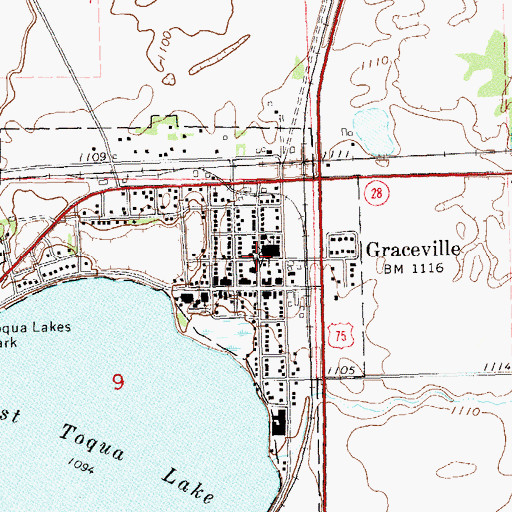 Topographic Map of Graceville, MN