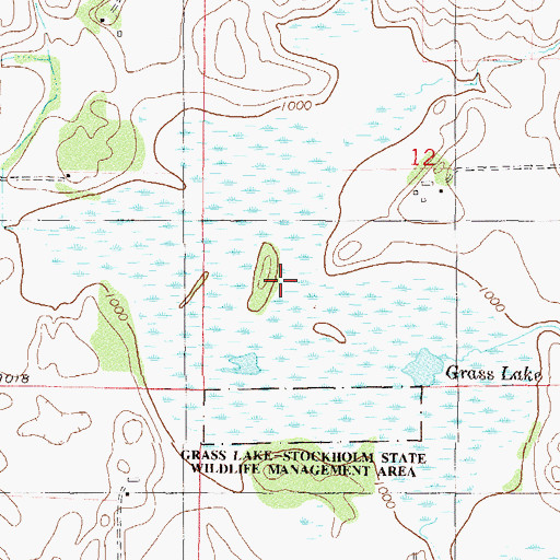 Topographic Map of Grass Lake, MN