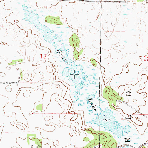 Topographic Map of Grass Lake, MN