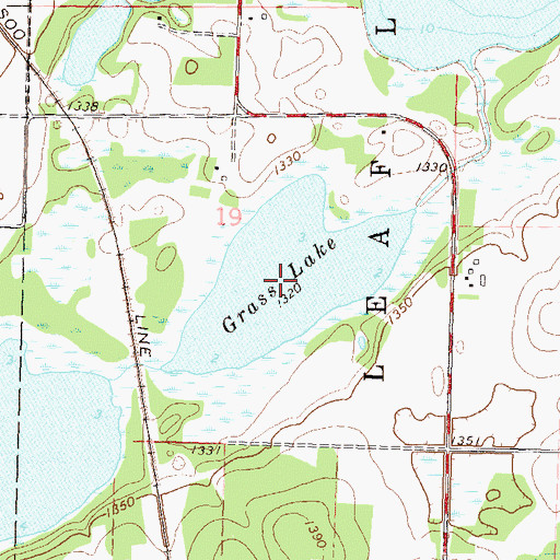 Topographic Map of Grass Lake, MN