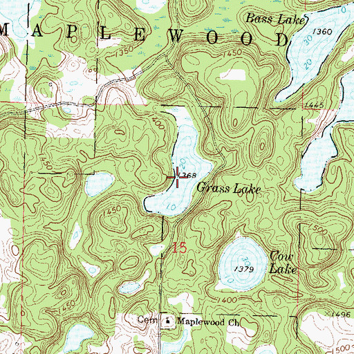 Topographic Map of Grass Lake, MN