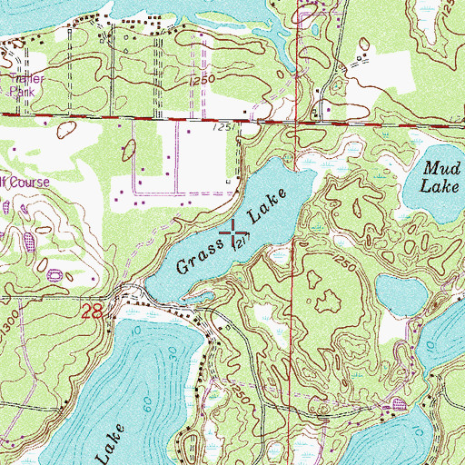 Topographic Map of Grass Lake, MN