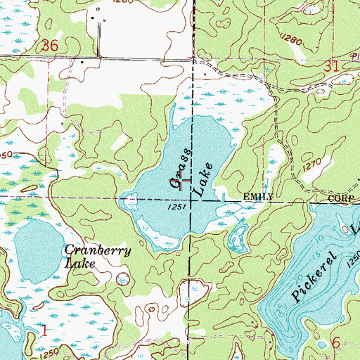 Topographic Map of Grass Lake, MN