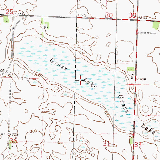 Topographic Map of Grass Lake, MN
