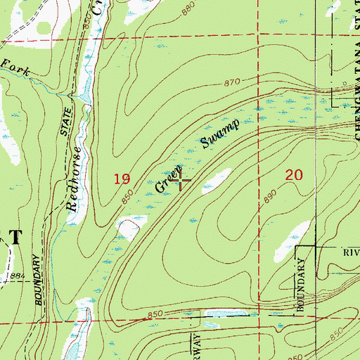 Topographic Map of Green Swamp, MN