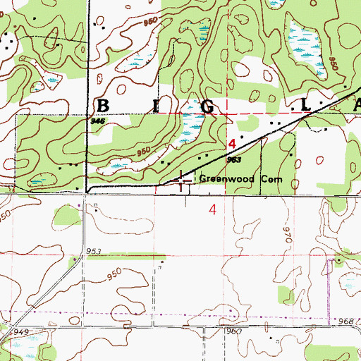 Topographic Map of Greenwood Cemetery, MN