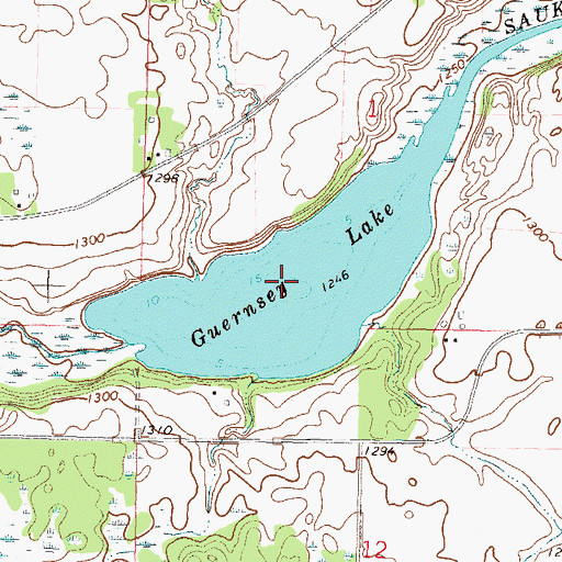 Topographic Map of Guernsey Lake, MN