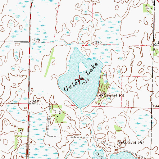Topographic Map of Gulden Lake, MN