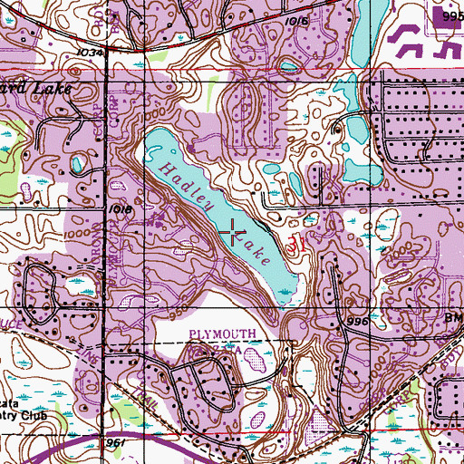 Topographic Map of Hadley Lake, MN