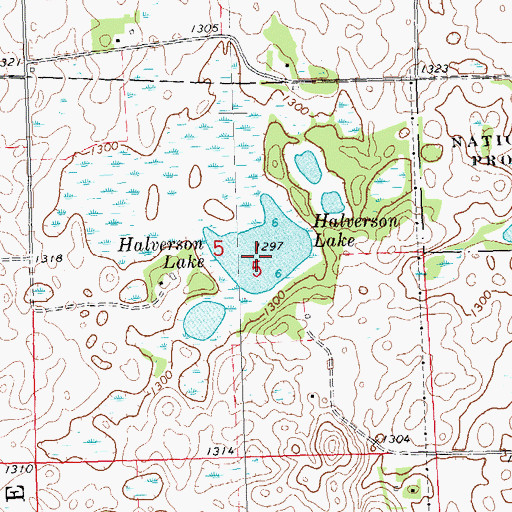 Topographic Map of Halverson Lake, MN