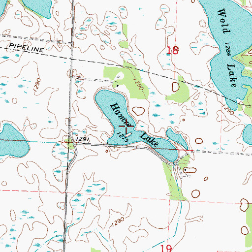 Topographic Map of Hamre Lake, MN