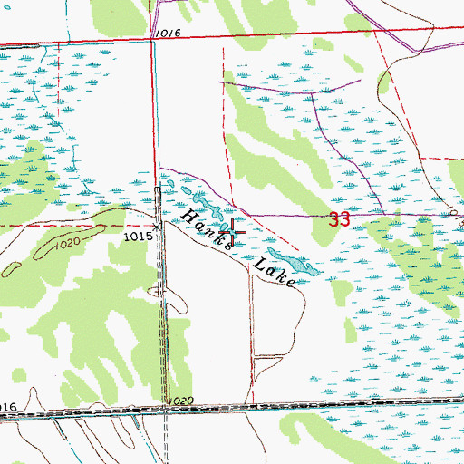 Topographic Map of Hanks Lake, MN