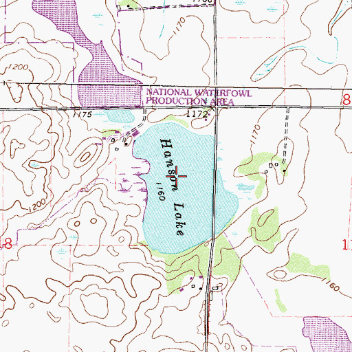 Topographic Map of Hanson Lake, MN