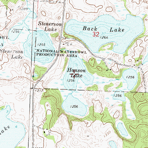 Topographic Map of Hanson Lake, MN