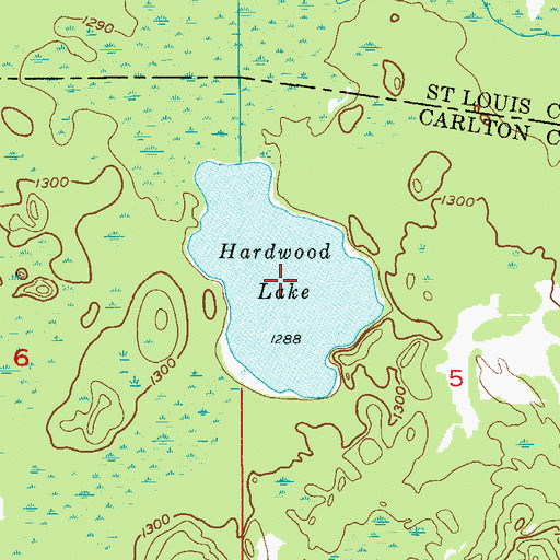 Topographic Map of Hardwood Lake, MN