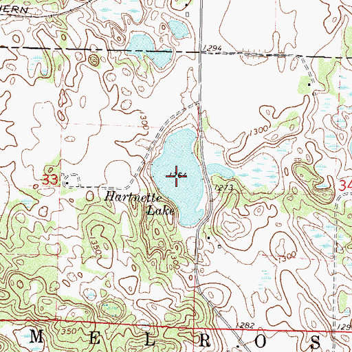 Topographic Map of Hartnette Lake, MN