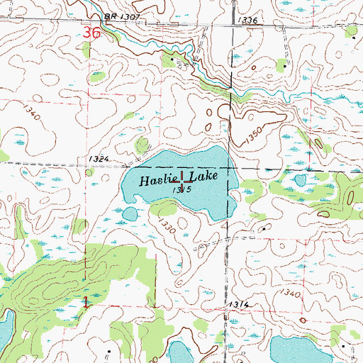 Topographic Map of Haslie Lake, MN