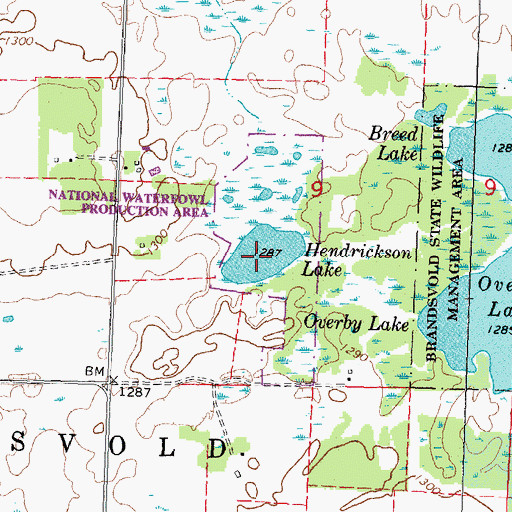 Topographic Map of Hendrickson Lake, MN