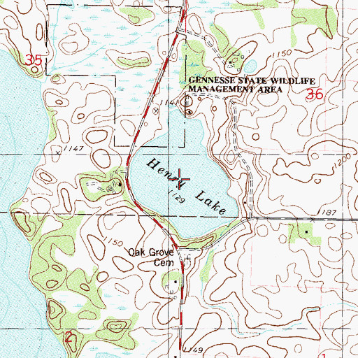 Topographic Map of Henry Lake, MN